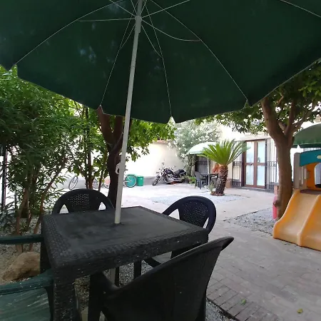 Asso Di Coppa Scafati